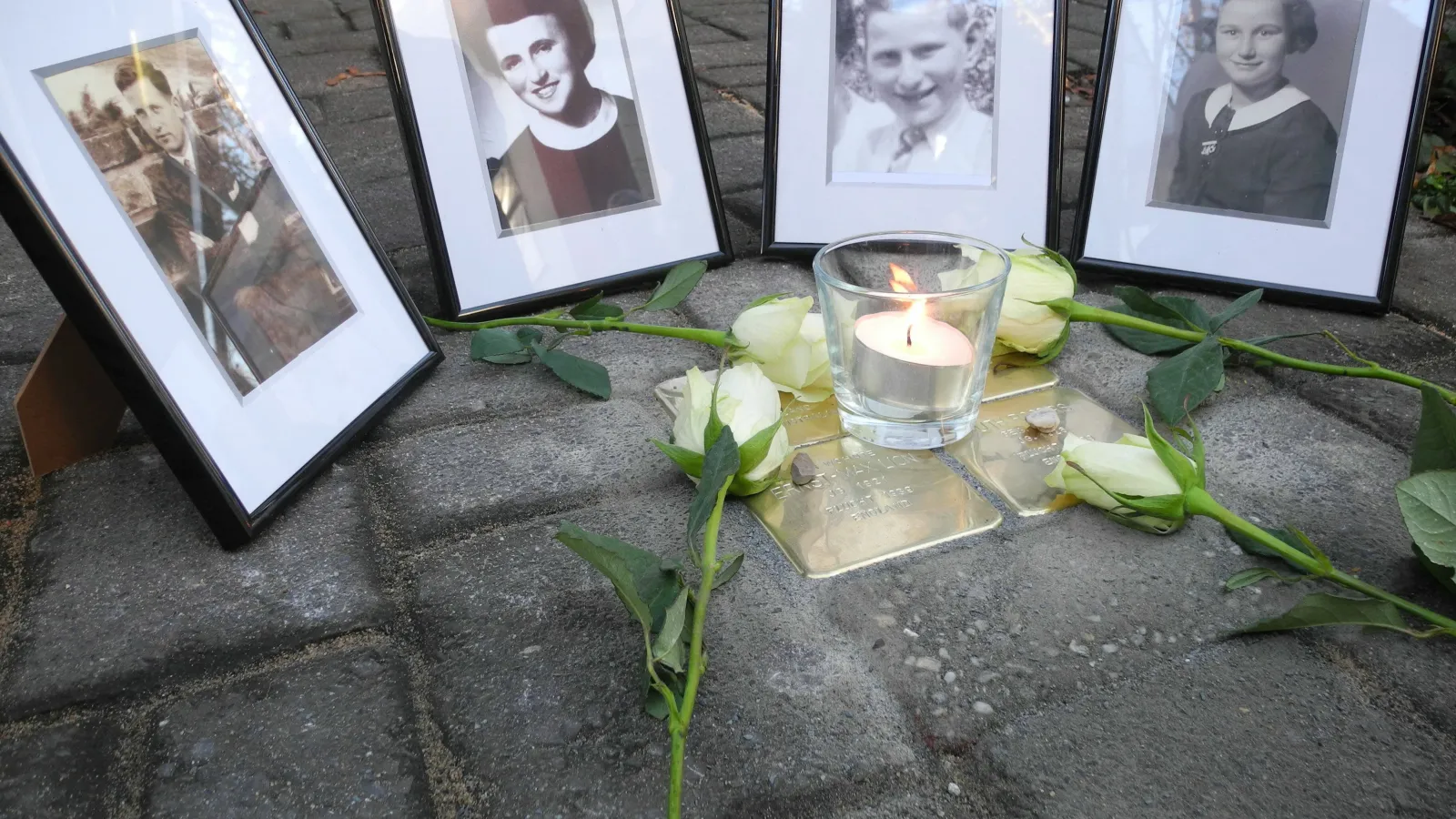 Stolpersteine mit Portraits und Rosen