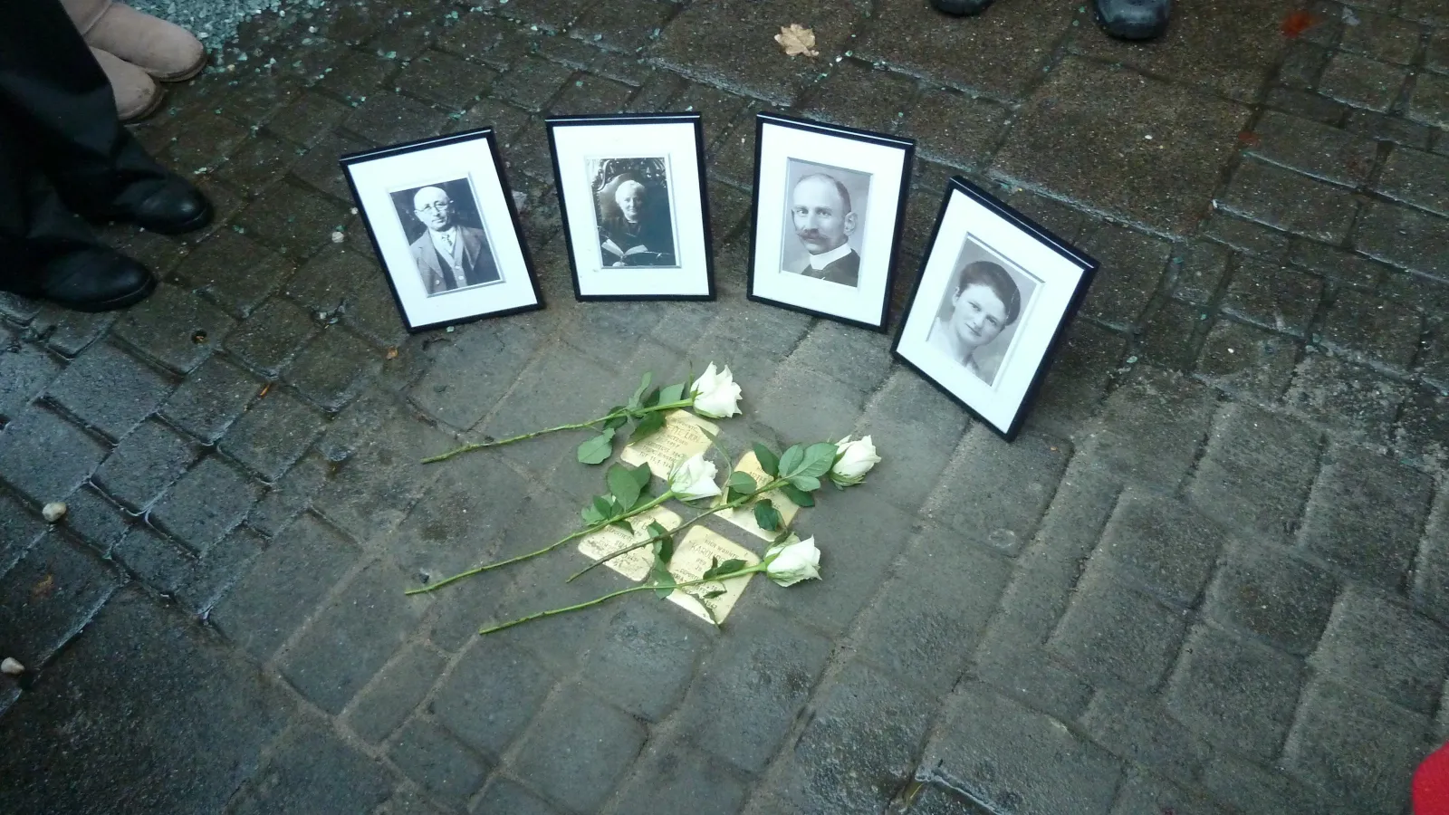 Stolpersteine mit Portraits und Rosen