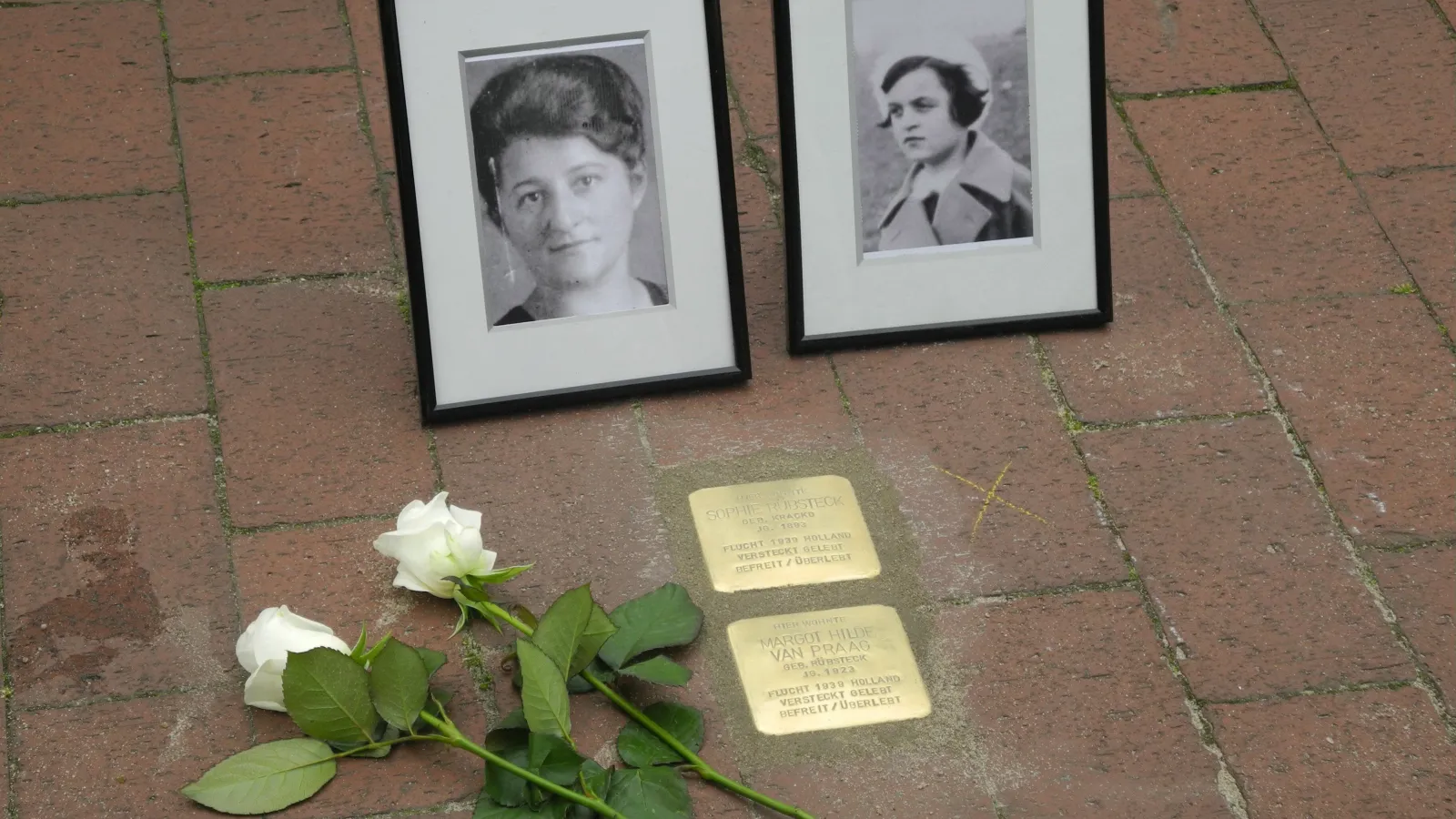 Stolpersteine mit Portraits und Rosen