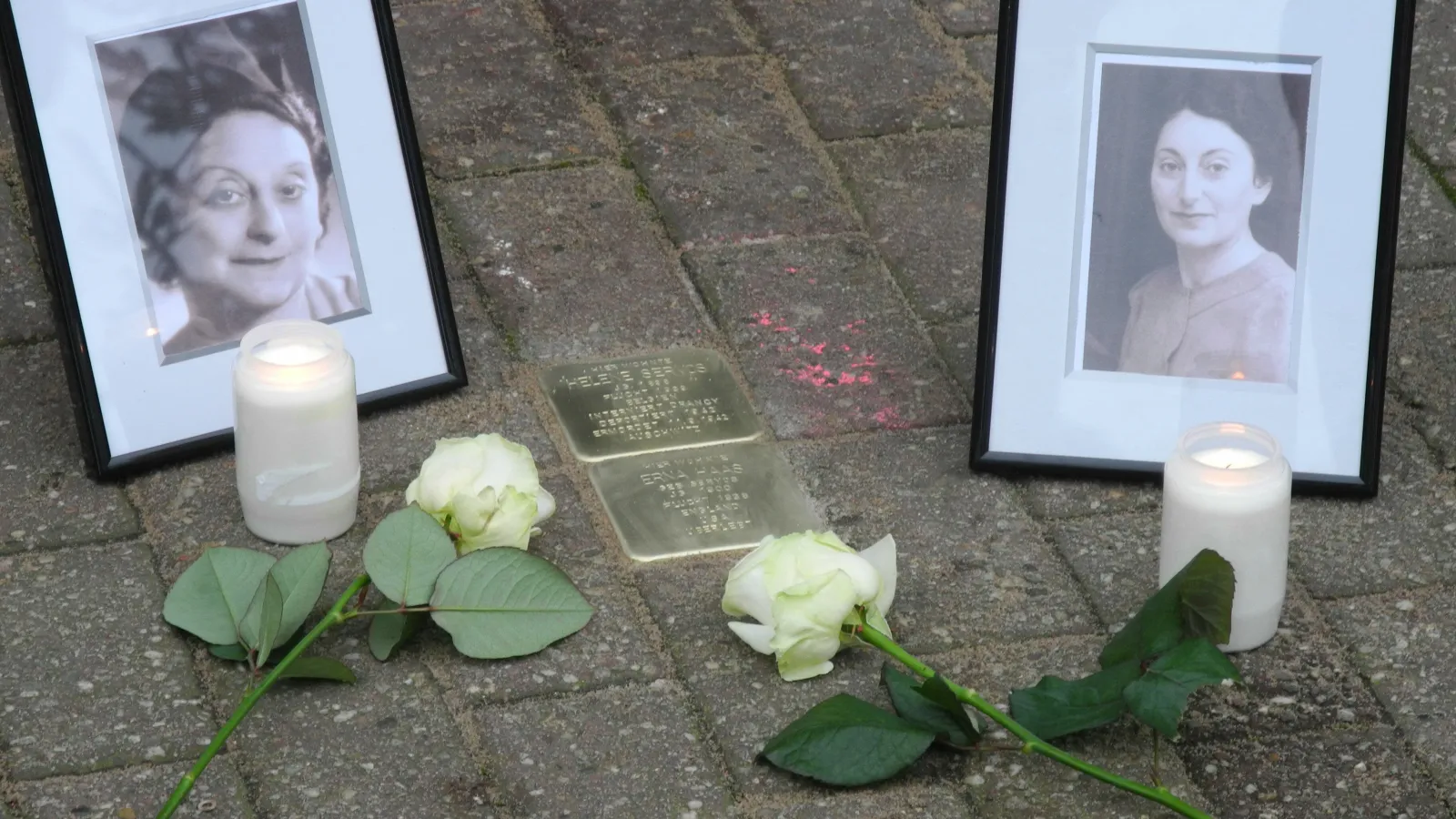 Stolpersteine mit Portraits und Rosen