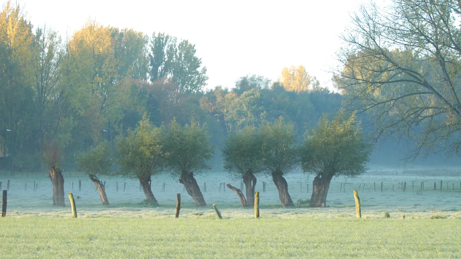 Herbstimpressionen Niederrhein