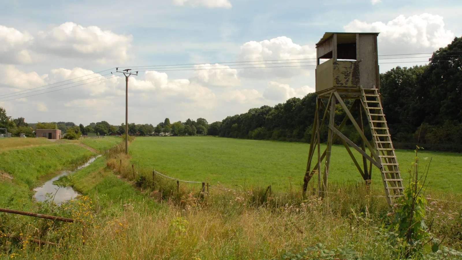 Sommerimpressionen Niederrhein