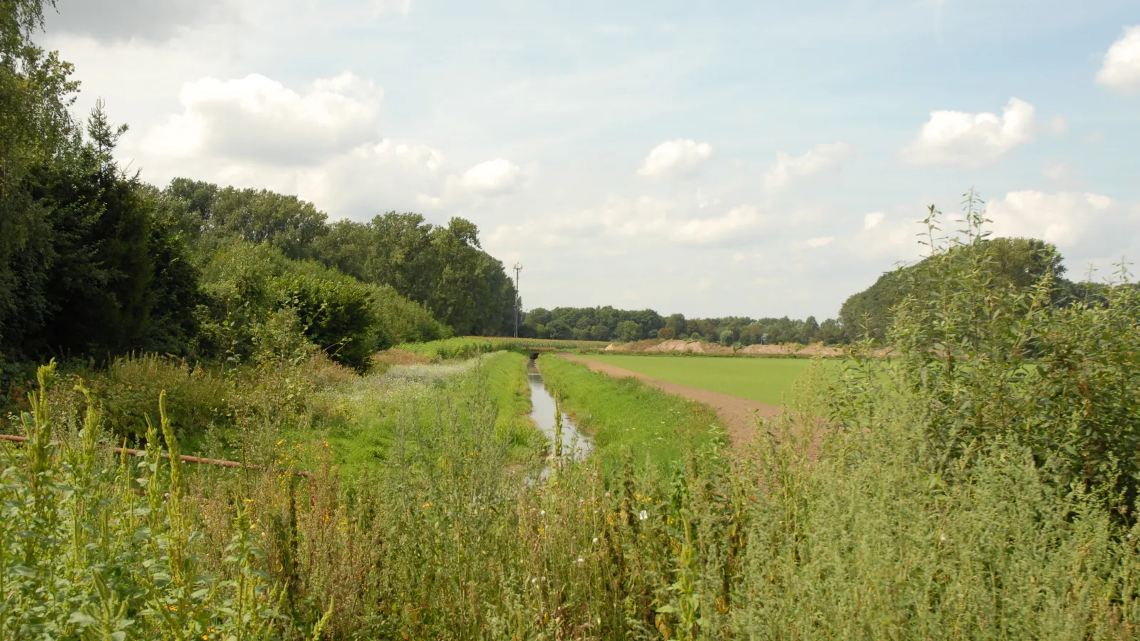 Sommerimpressionen Niederrhein