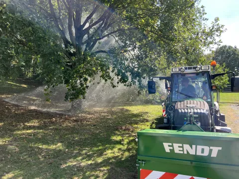 Baumbewässerung durch GBW 