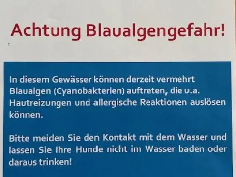 SChild zu Blaualgensituation Wekelner See 09 2024