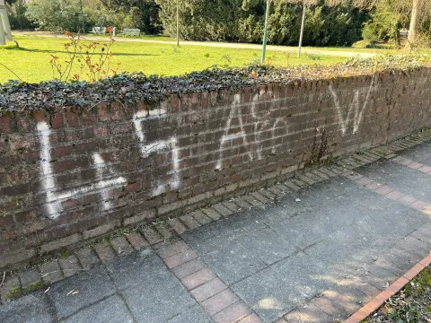 Reinigungsaktion Säger und BM 