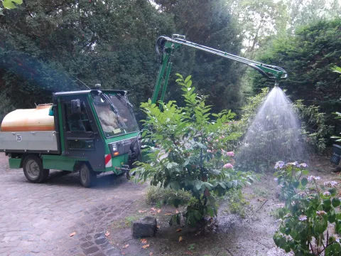 Wasserversorgung Pflanzen GBW 