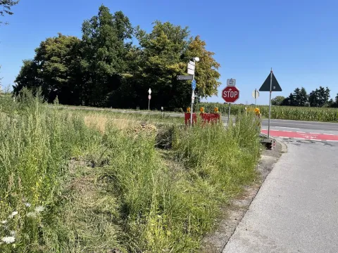 Bau Kreisverkehr L 382 Korschenbroicher Straße