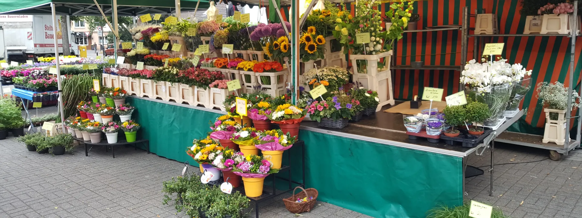 Wochenmarkt Blumenstand