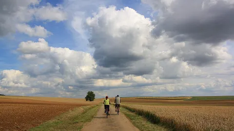 Radfahrer auf Feldweg am Niederrhein