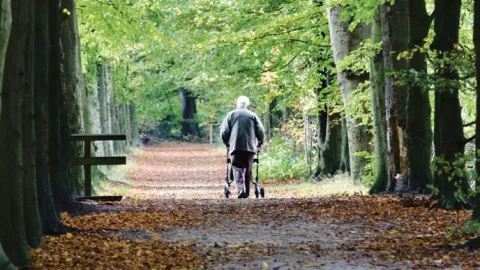 Senior am Rollator in Allee unterwegs 