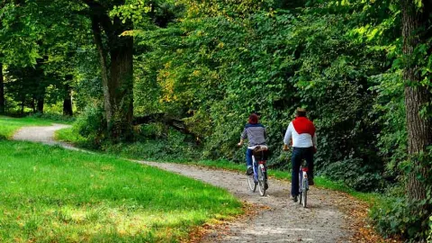 Radfahrer in Park unterwegs 