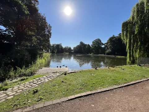 Teich Konrad-Adenauer-Park Willich 