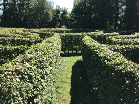 Hecken-Labyrinth im Schlosspark Neersen 