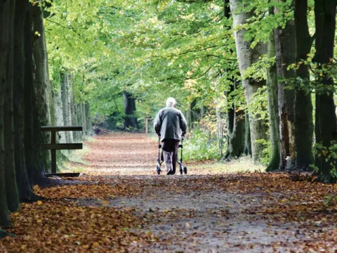Senior am Rollator in Allee unterwegs 