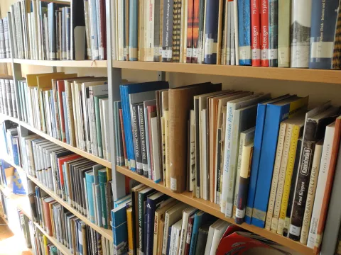 Bücher in Bücherregalen