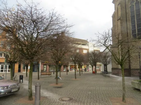 Eine Gruppe von Bäumen an einer Kirche