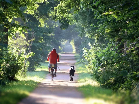 Fahrradfahrer mit Hund auf Fahrradweg