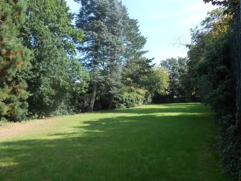Spielwiese Dammstraße