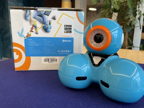 Dash Bot 