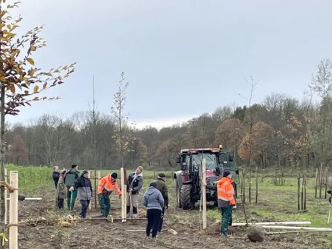 Pflanzaktion Büttgerwald Herbst 2024