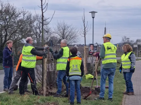 Baumpflanzaktion Schiefbahner Straße Willich 02 2025