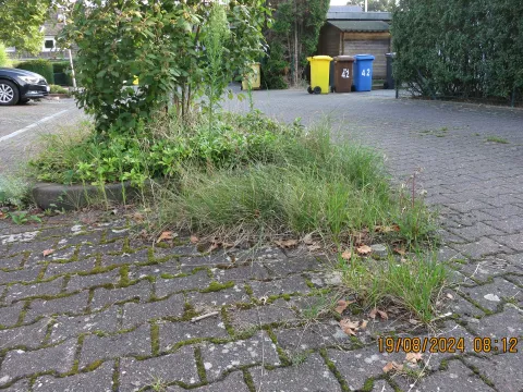 Mängelmelder Wildwuchs
