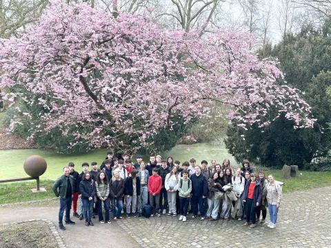 Schülergruppe aus Logrono mit BM unter japanischer Kirsche