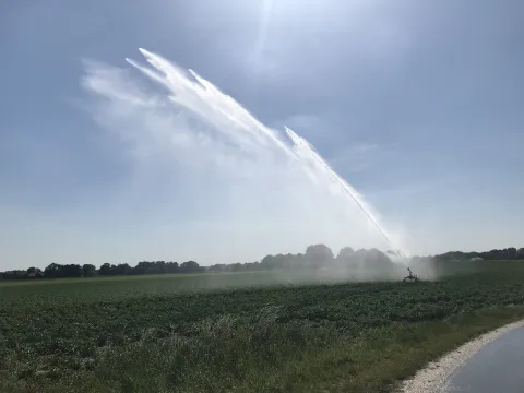 Wassersprenger auf Feld 