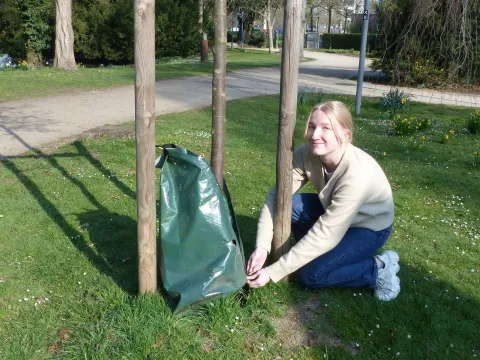 Linea Förster mit Baumbewässerungssack